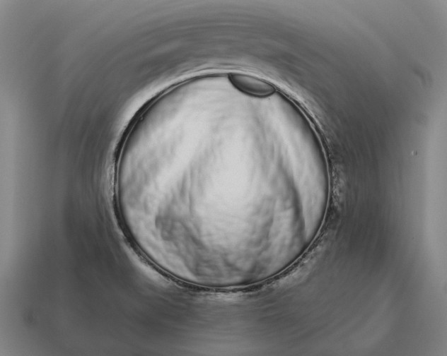 X0000115111519200911101554