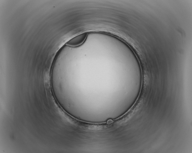X0000115111521200911101554