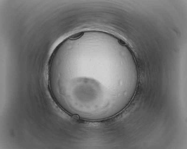 X0000115111522200911101555