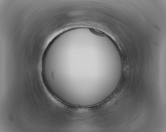 X0000115111523200911101555