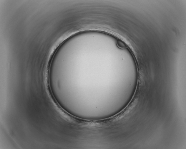 X0000115111525200911101555