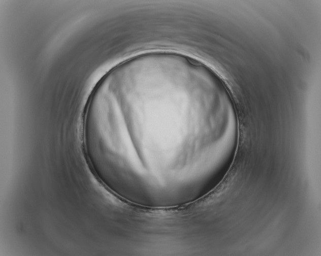 X0000115111527200911101555