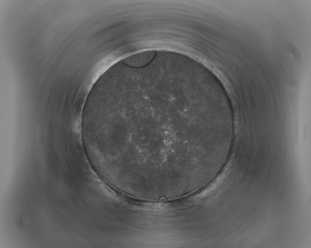 X0000115111529200911101555