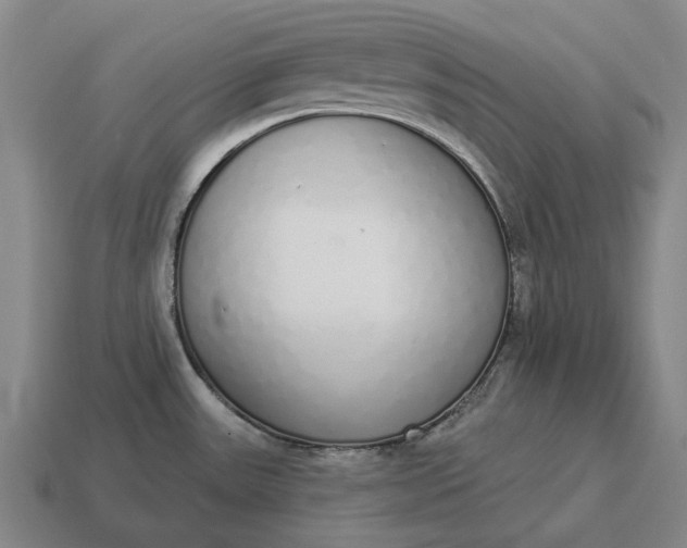 X0000115111531200911101555