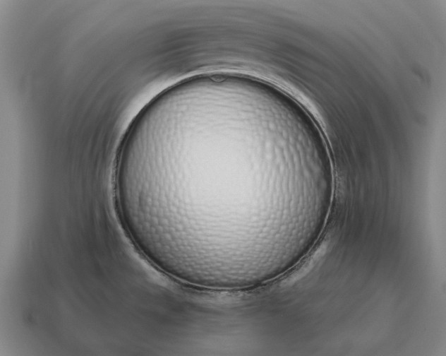 X0000115111533200911101555