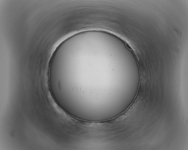 X0000115111534200911101555