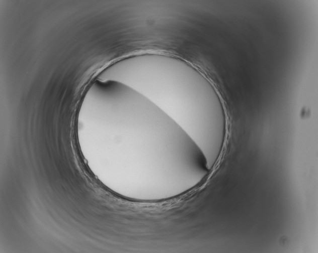 X0000115110001200911171315