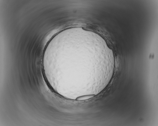 X0000115110003200911171315