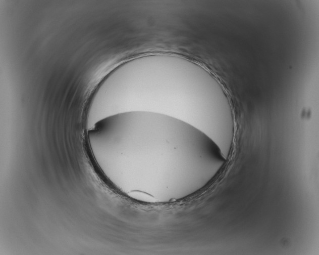 X0000115110005200911171315