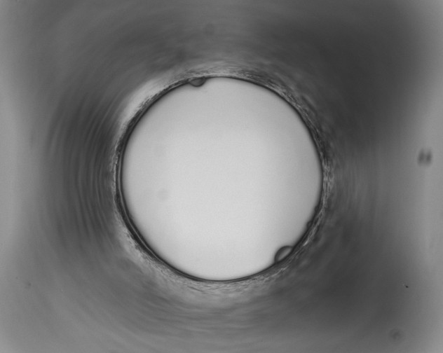 X0000115110006200911171315