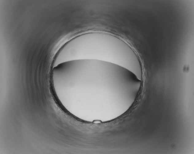 X0000115110007200911171315