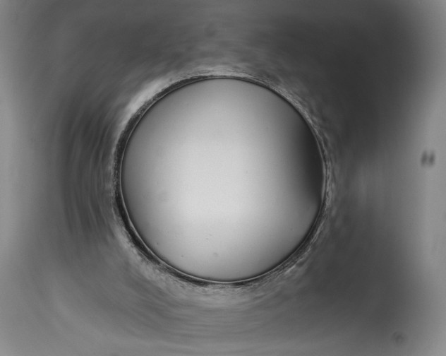 X0000115110008200911171315