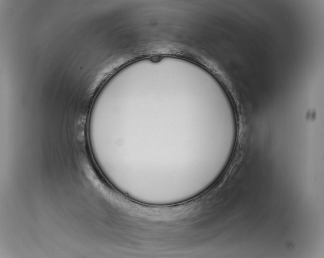 X0000115110010200911171315