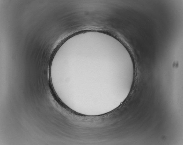 X0000115110011200911171315