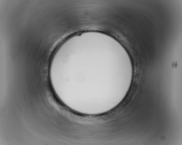 X0000115110012200911171315