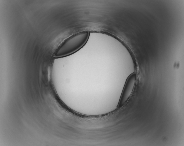 X0000115110013200911171315
