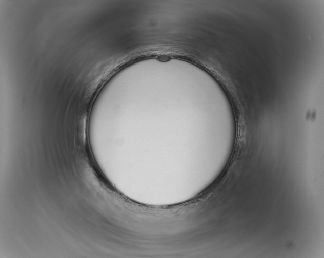 X0000115110014200911171315