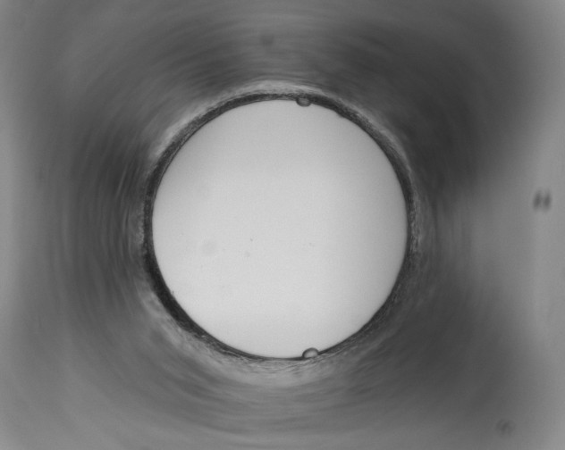 X0000115110015200911171315