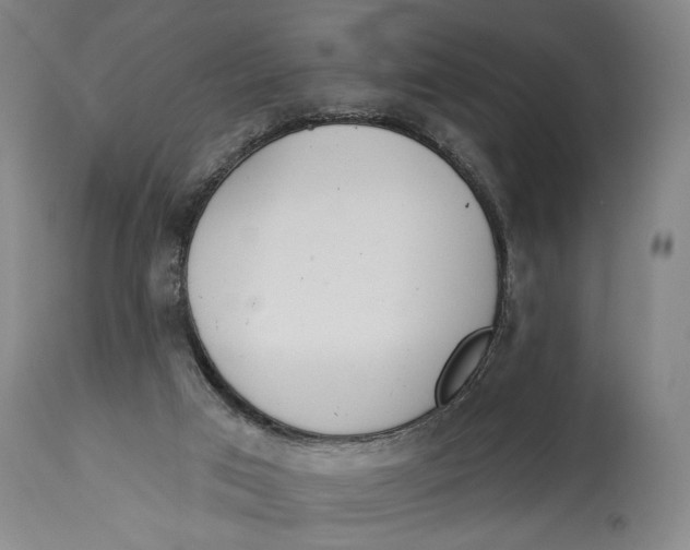 X0000115110017200911171315