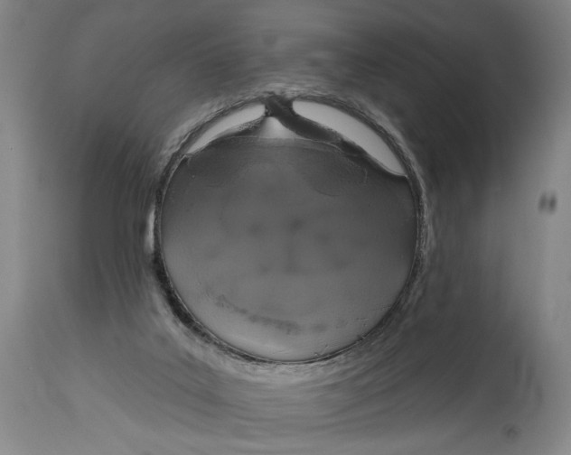 X0000115110019200911171315