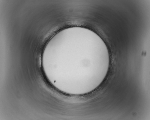 X0000115110020200911171315