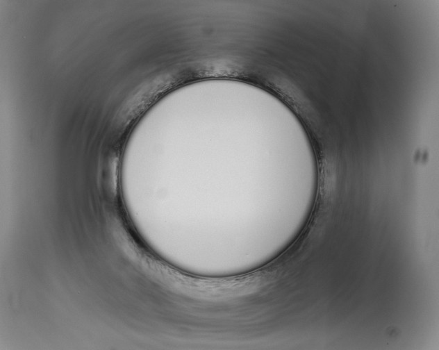 X0000115110022200911171315