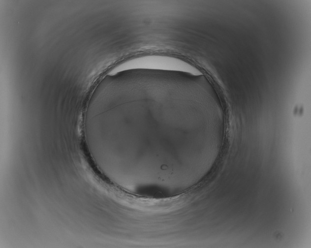 X0000115110023200911171315