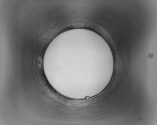X0000115110025200911171315