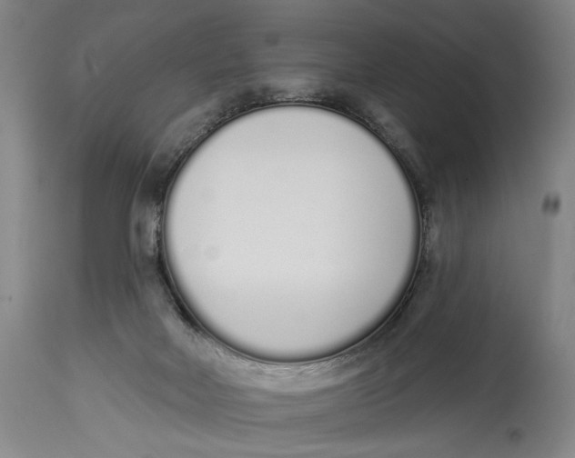 X0000115110026200911171315