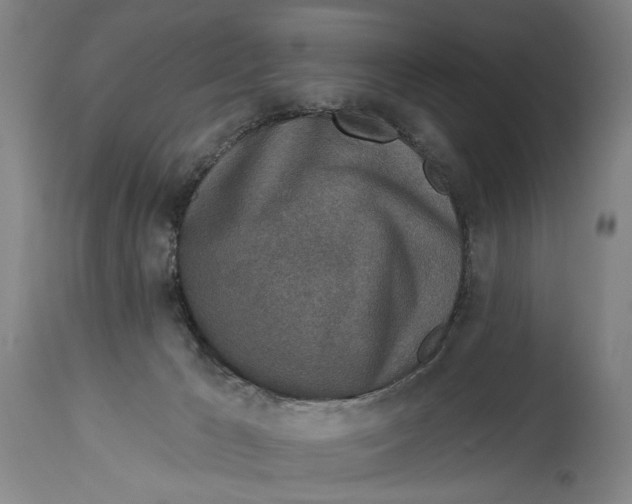 X0000115110029200911171315