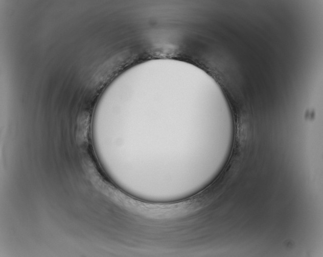 X0000115110030200911171315