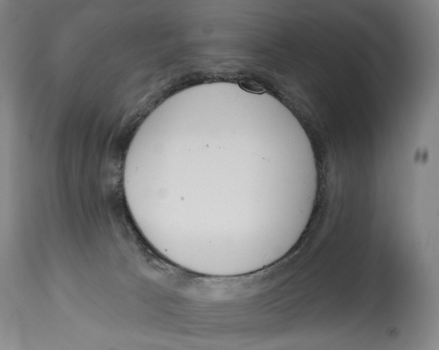 X0000115110033200911171315