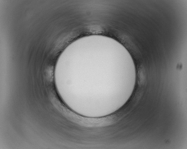 X0000115110034200911171315