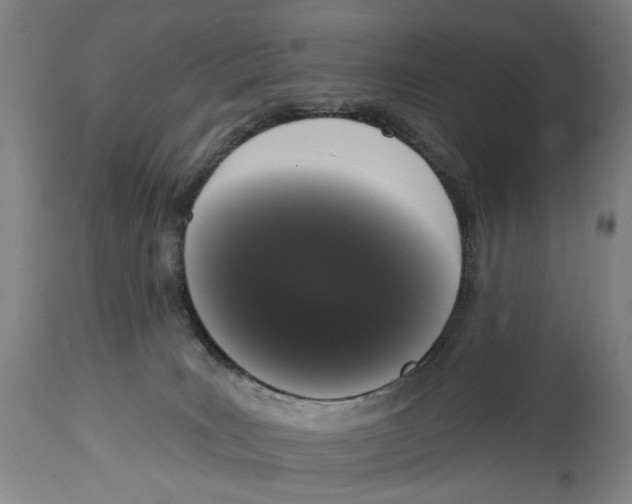 X0000115110035200911171315
