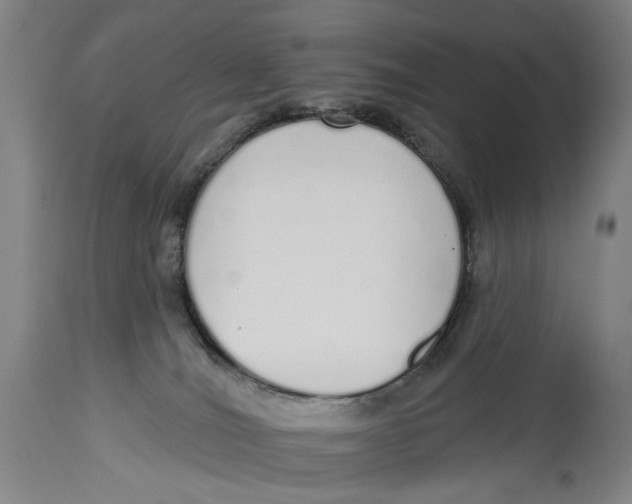 X0000115110036200911171315