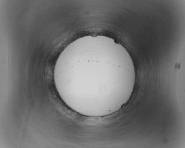 X0000115110037200911171315