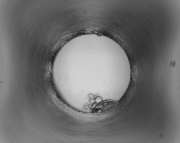 X0000115110038200911171315
