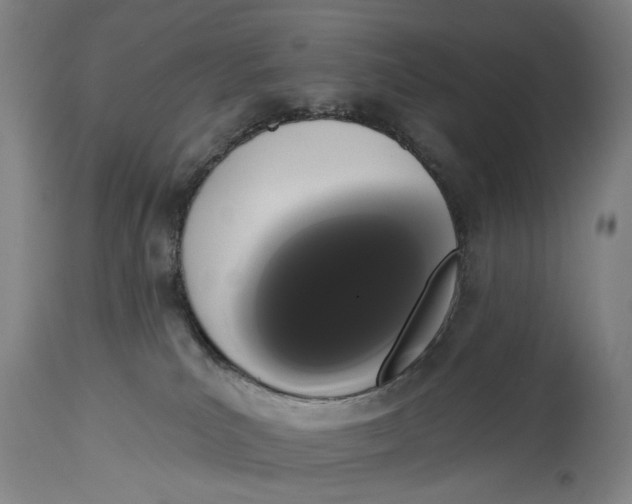 X0000115110039200911171315