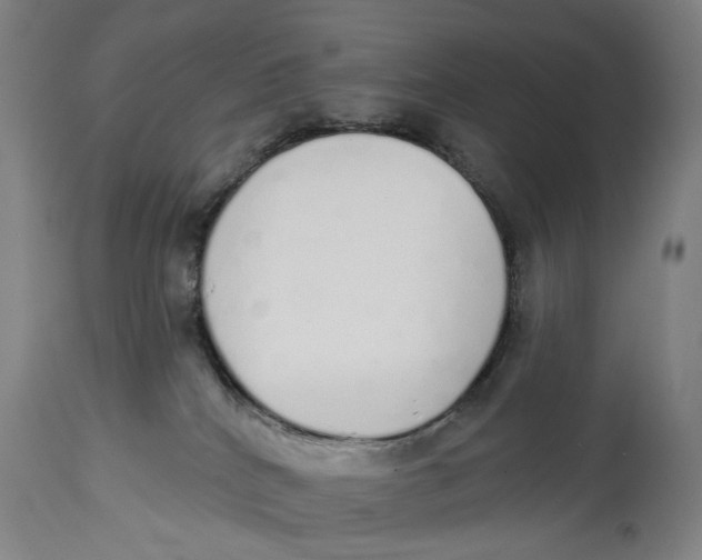X0000115110040200911171315