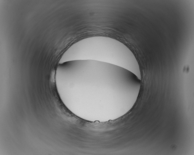 X0000115110041200911171315