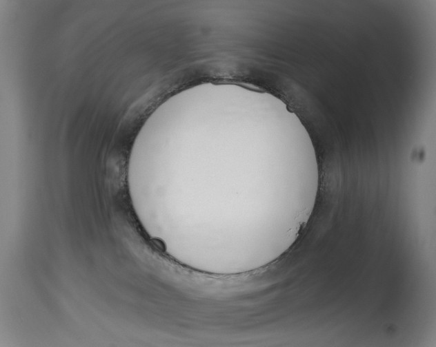 X0000115110043200911171315