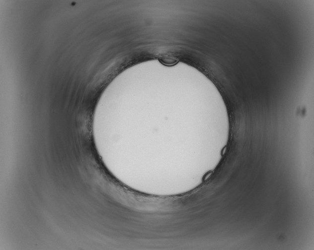 X0000115110044200911171315