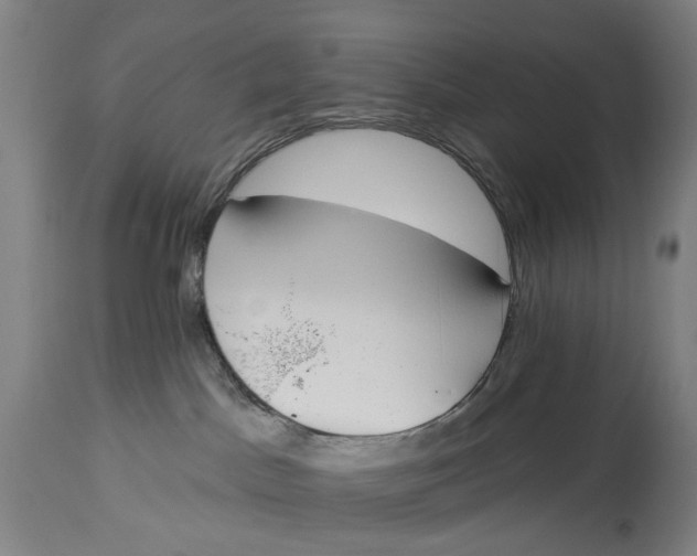 X0000115110045200911171315