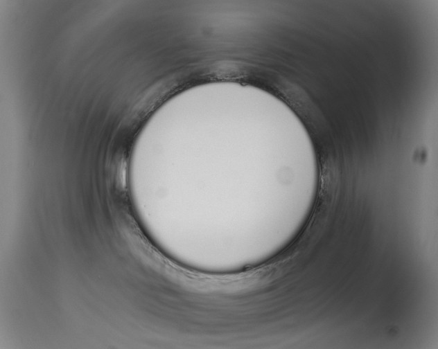 X0000115110046200911171315