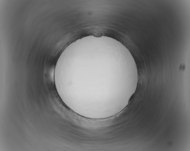 X0000115110047200911171315
