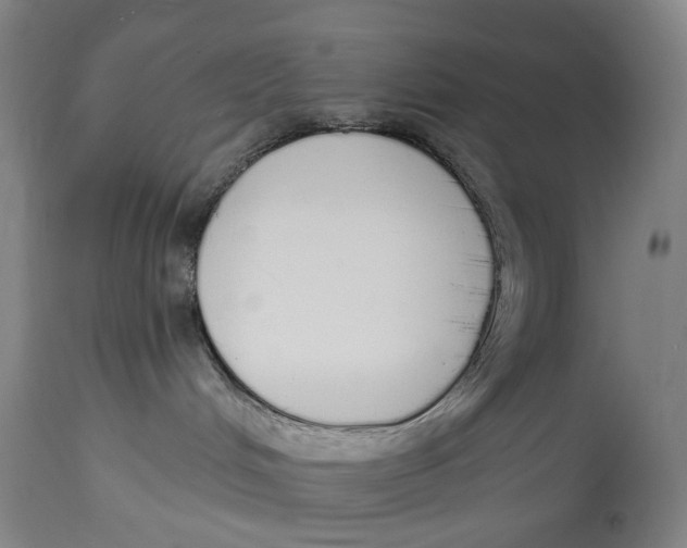 X0000115110048200911171315