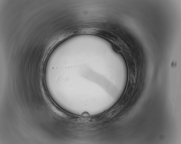 X0000115110049200911171314