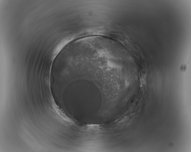 X0000115110052200911171314