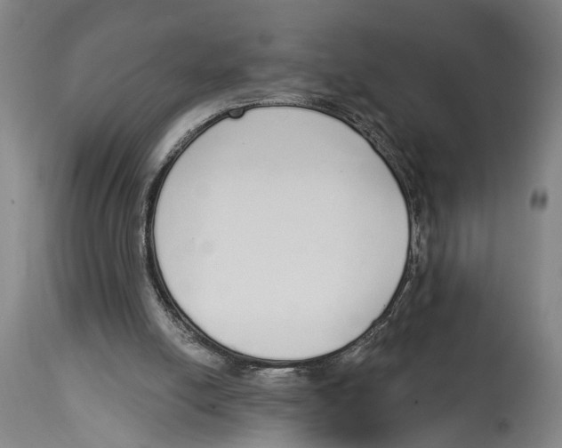 X0000115110054200911171314