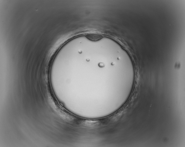 X0000115110055200911171314